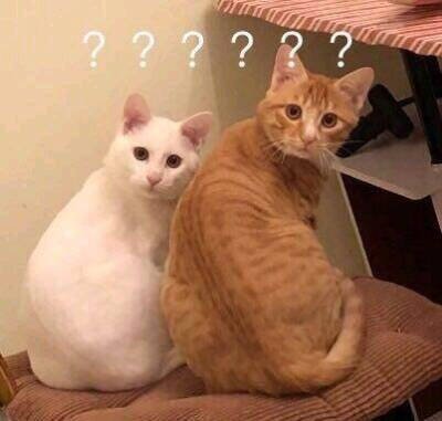 “引导”你会吗？