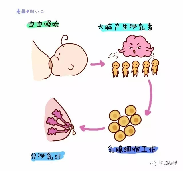 宝宝一哭就喂奶？