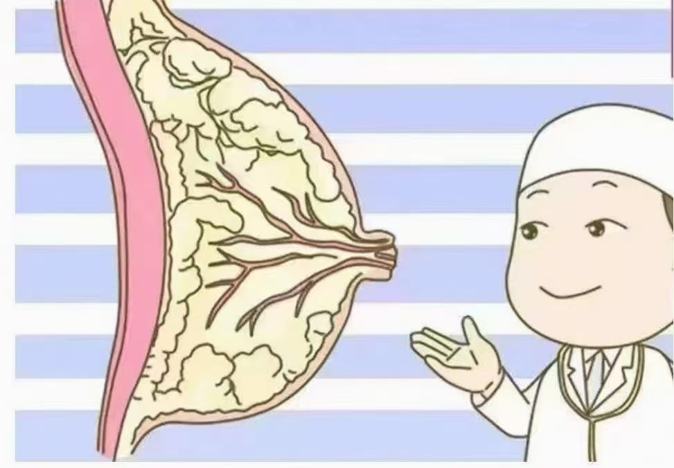 6步疏通奶结，告别乳房胀痛，月嫂必学！