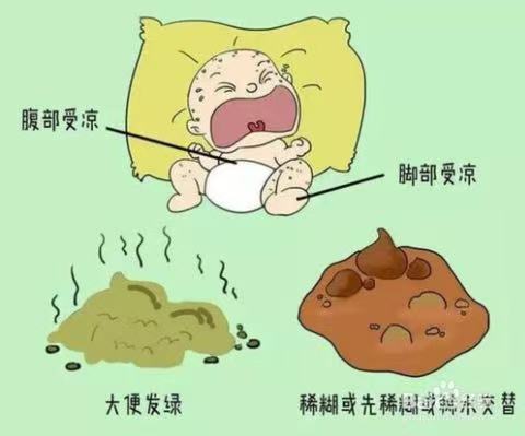 为什么宝宝会拉出绿色便便